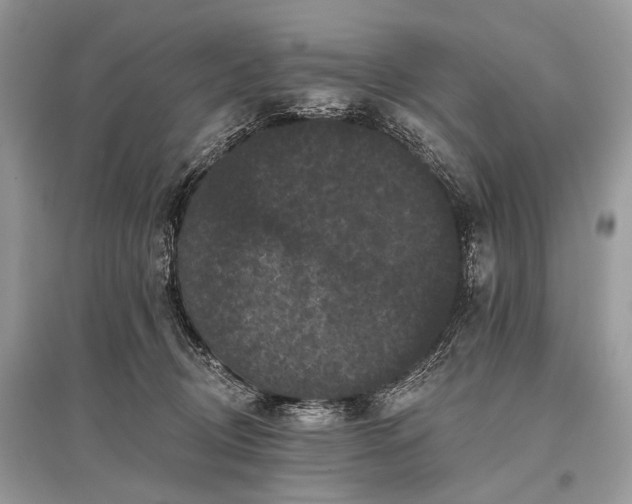 X0000096130370200801251023