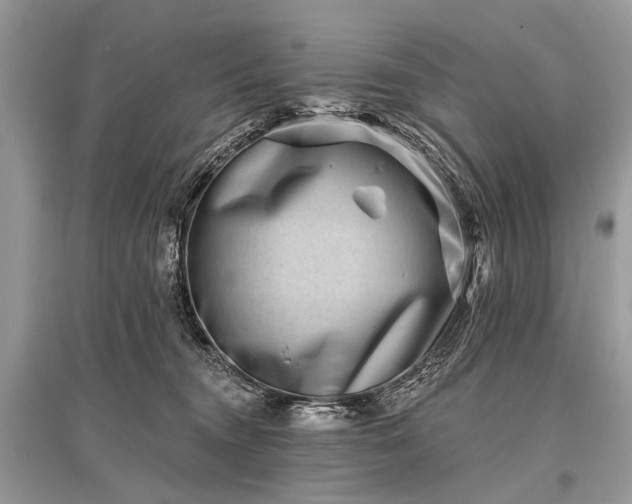 X0000096130372200801251023