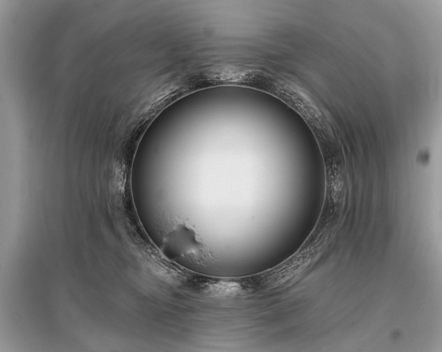X0000096130374200801251023
