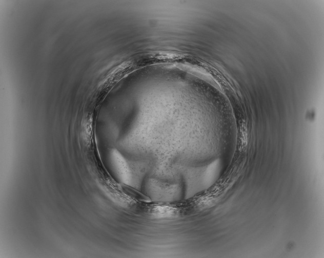 X0000096130376200801251023