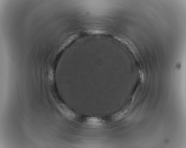 X0000096130380200801251023