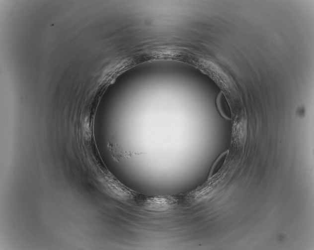 X0000096130381200801251023