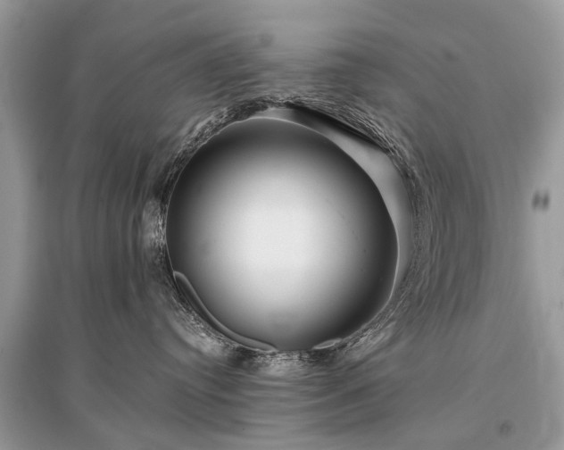 X0000096130384200801251023