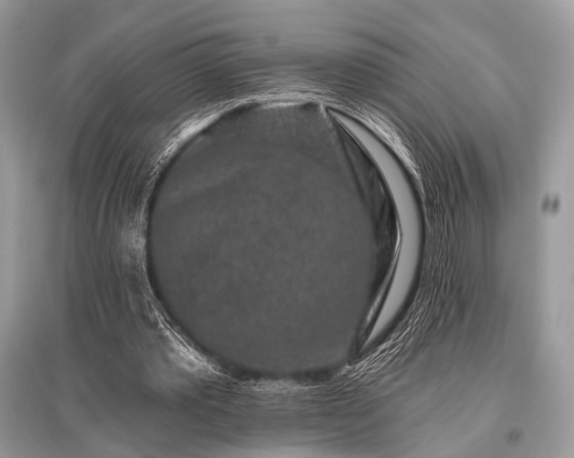 X0000096130389200801251022