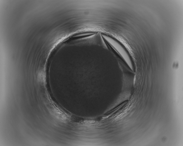 X0000096130391200801251022