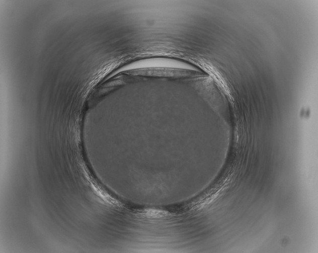 X0000096130393200801251022