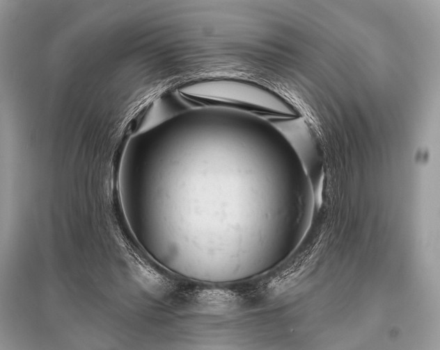 X0000096130397200801251022