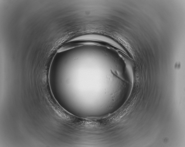 X0000096130401200801251022