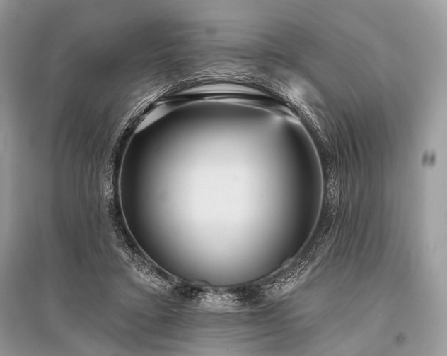 X0000096130403200801251022