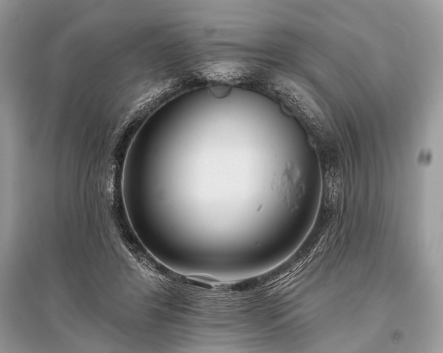 X0000096130404200801251022