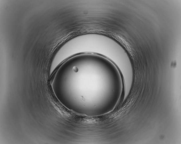 X0000096130405200801251022