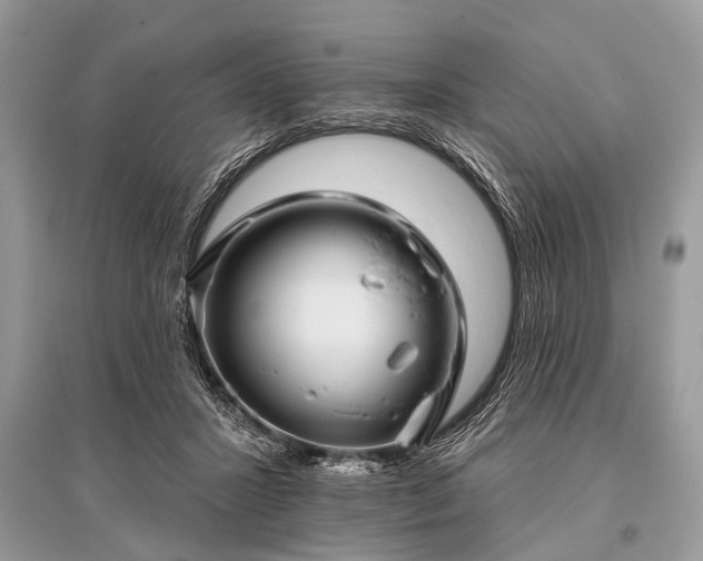 X0000096130407200801251022