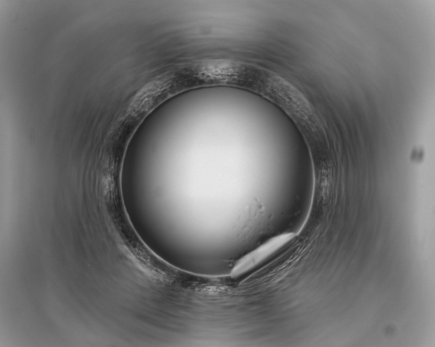 X0000096130408200801251022