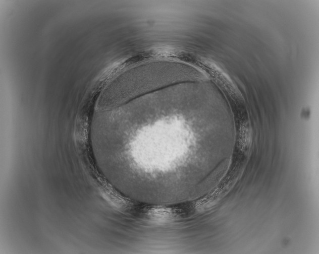 X0000096130413200801251022