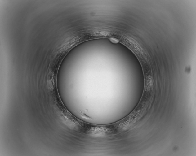 X0000096130414200801251022