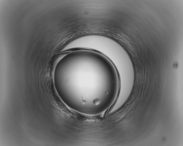 X0000096130415200801251022