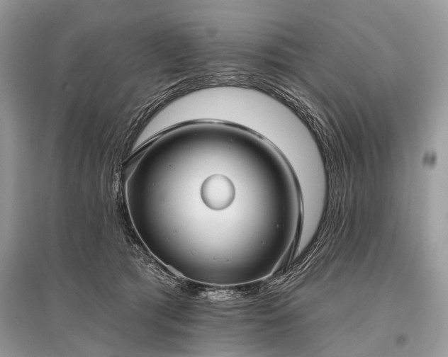 X0000096130417200801251022