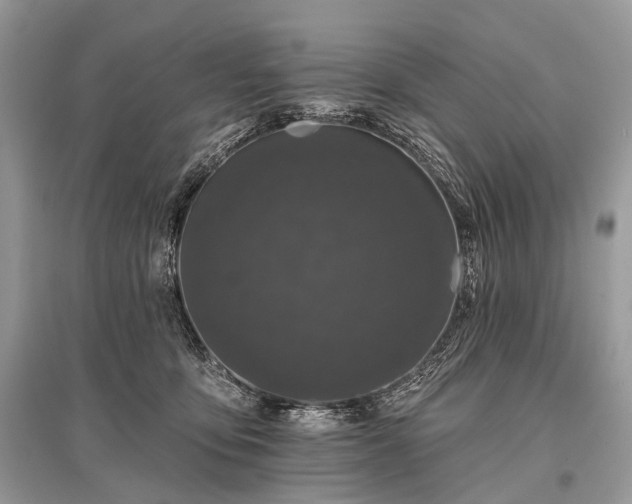 X0000096130419200801251022