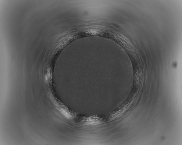 X0000096130420200801251022