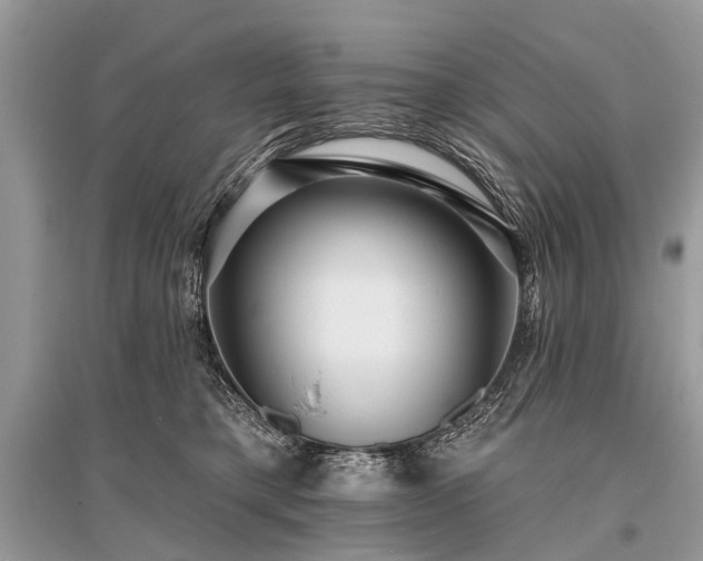 X0000096130421200801251022