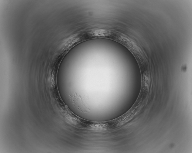 X0000096130422200801251022