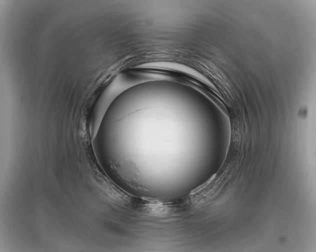 X0000096130425200801251021