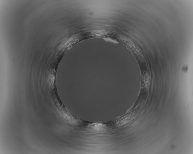X0000096130427200801251021