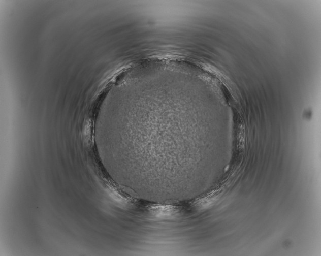 X0000096130428200801251021
