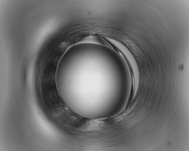 X0000096130429200801251021