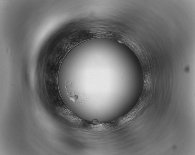 X0000096130430200801251021