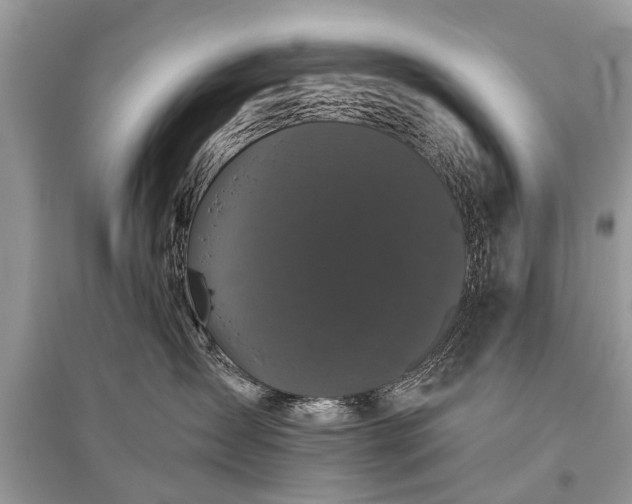 X0000096130431200801251021