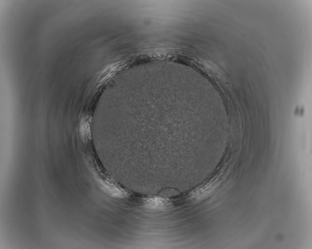 X0000096130432200801251021