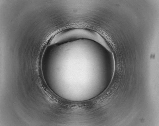X0000096130434200801251020