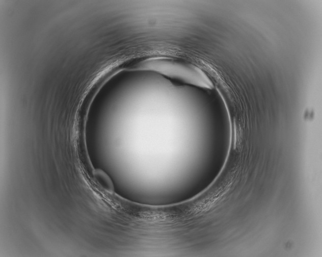 X0000096130435200801251020