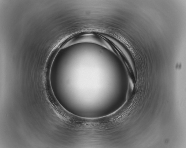 X0000096130436200801251020