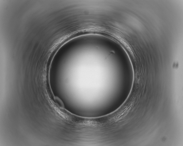 X0000096130437200801251020