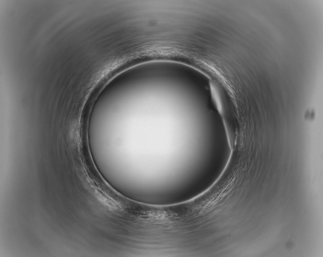 X0000096130439200801251020