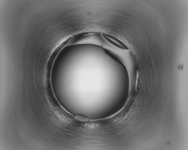X0000096130440200801251020