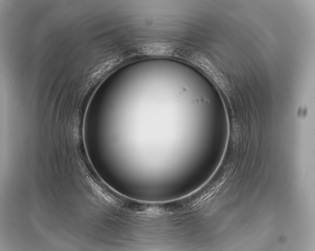 X0000096130441200801251020