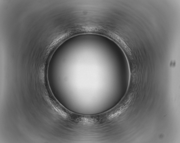 X0000096130442200801251020