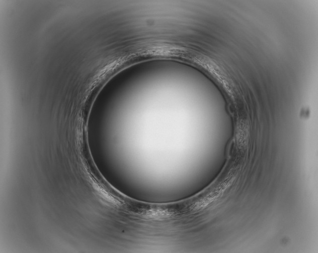 X0000096130445200801251021