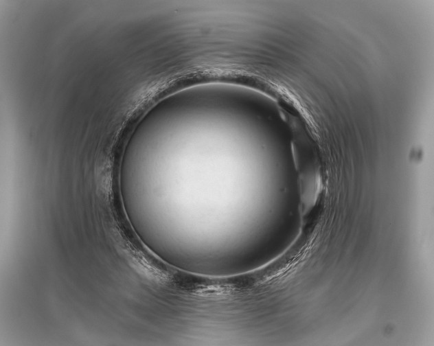 X0000096130447200801251021