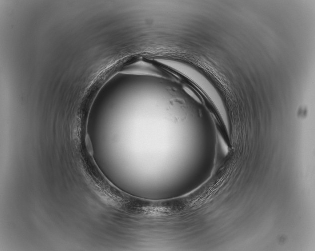 X0000096130448200801251021