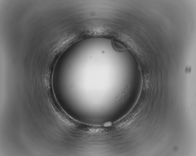 X0000096130450200801251021
