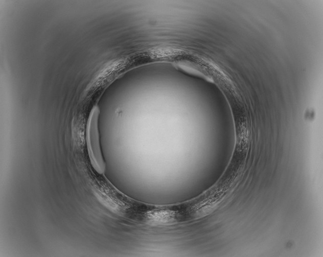 X0000096130452200801251021
