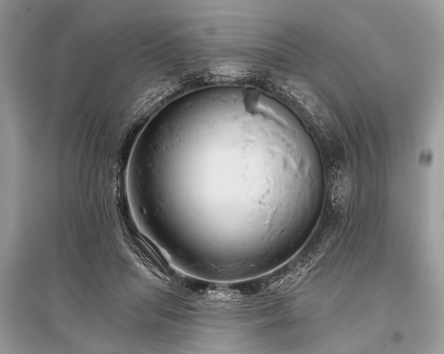 X0000096130455200801251021