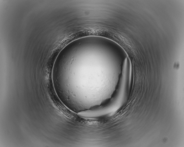 X0000096130456200801251021