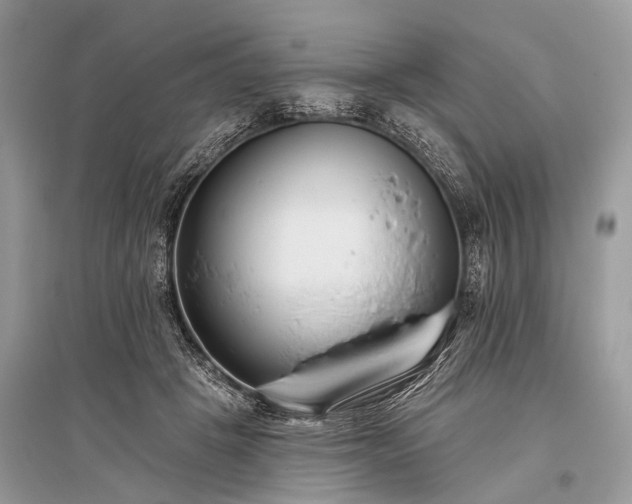 X0000096130457200801251021