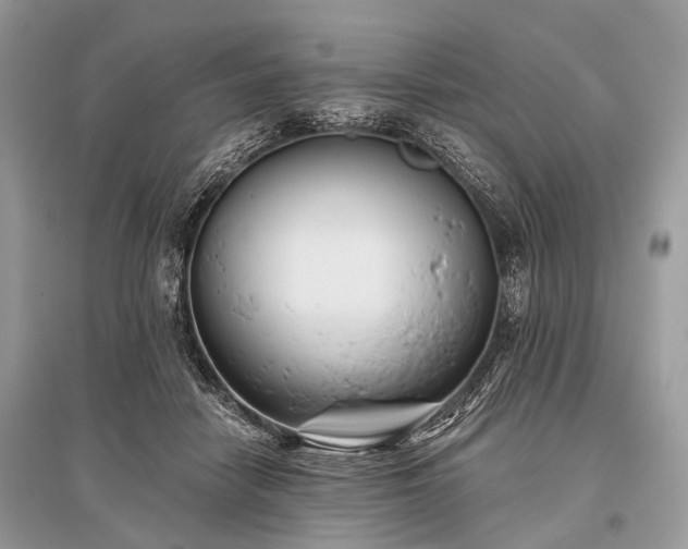 X0000096130458200801251021