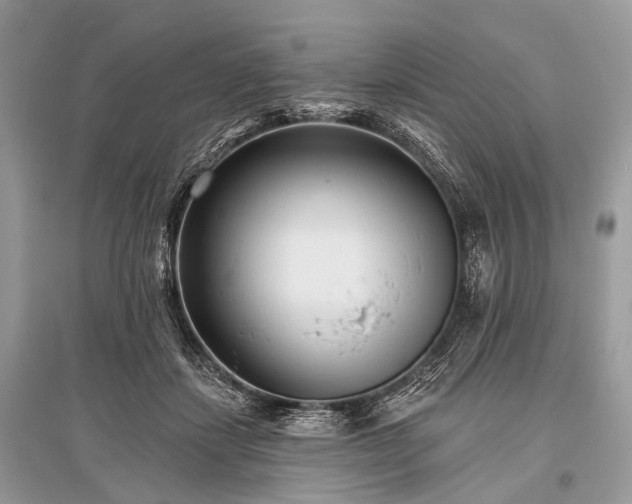 X0000096130459200801251021